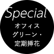 special オフィスグリーン・定期挿花