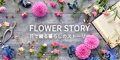FLOWER STORY