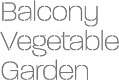 Balcony Vegetable Garden