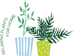 RELAXING PLANTS FOR HOME
