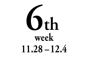 6th week 11.28-12.4