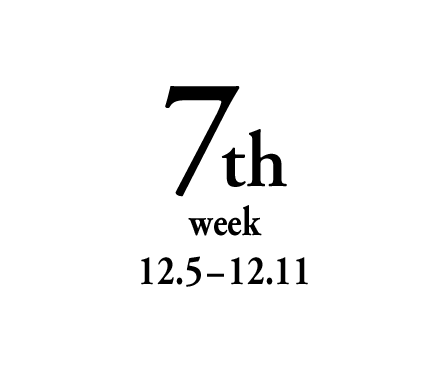 7th week 12.5-12.11