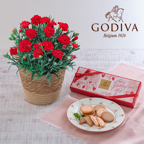 ゴディバ「あまおう苺クッキー アソートメント」とカーネーション鉢（レッド）のセット