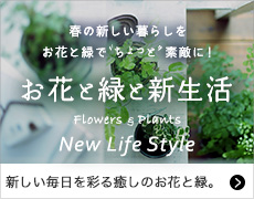 お花と緑と新生活