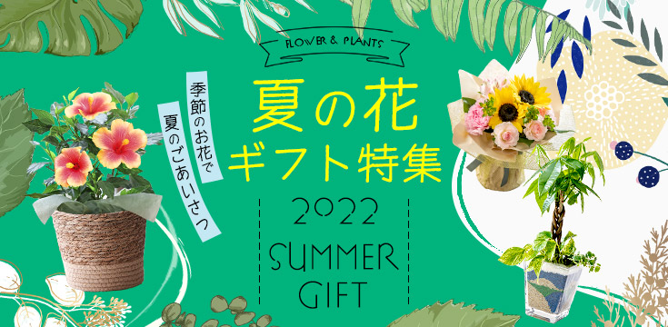 夏・お中元の花ギフト特集2022