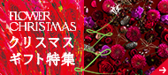 【2022】クリスマスの花束ギフト・プレゼント特集