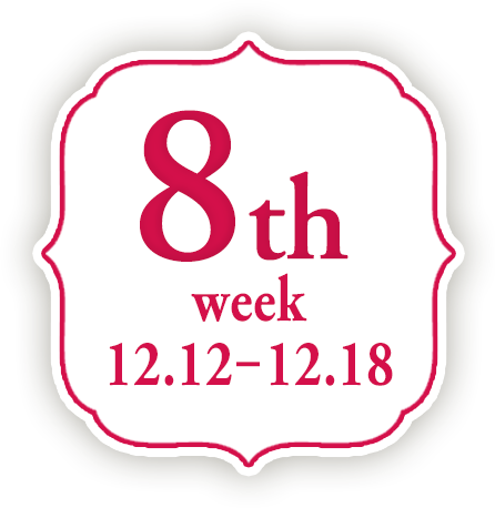8th week 12.12-12.18