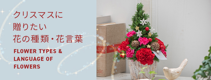 【2023】クリスマスの花 クリスマスに贈りたい花の種類・花言葉