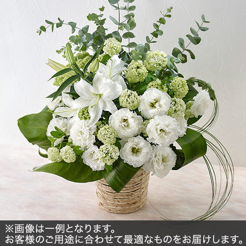 アレンジメントLサイズ(グリーン・ホワイト系)｜花・花束を贈る 