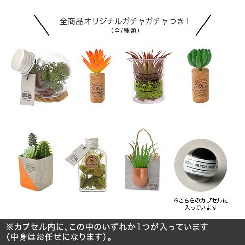 URBAN GREEN MAKERS　テラリウムキット「ビーカー」