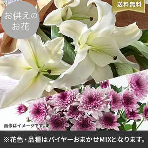 【バイヤー厳選】お供えのお花おまかせミックスの商品画像
