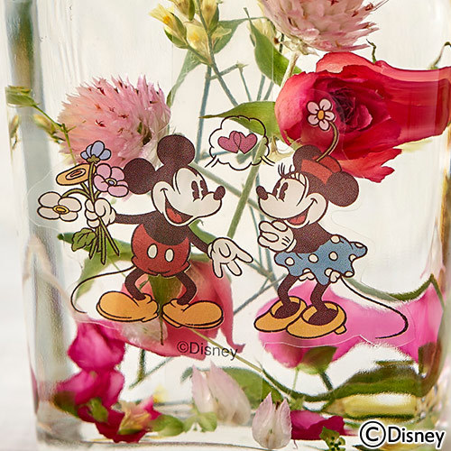 ディズニー Healing Bottle Disney Collection ミッキー ミニー 沖縄 届不可 花 花束を贈るフラワーギフト通販の 日比谷花壇