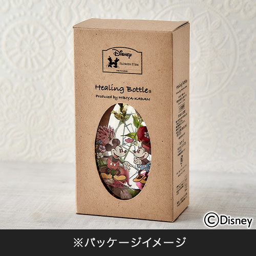 ディズニー Healing Bottle〜Disney collection〜「ドナルド＆デイジー」【沖縄届不可】