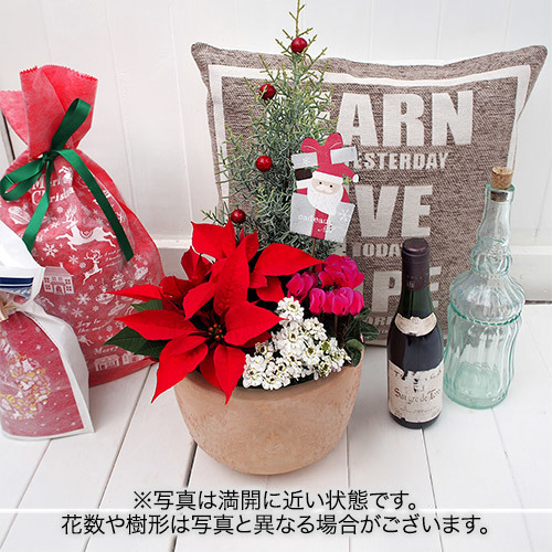 【日比谷花壇】クリスマス コンテナプランツ「クリスマスガーデン」