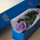 Blue rose APPLAUSE BOX ブルーローズ アプローズ ボックス（1本）