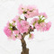 桜鉢 ｢旭山」