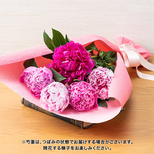 母の日 花束「芍薬（カラーミックス5本）」｜花・花束を贈るフラワー