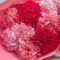 母の日 ピンク色のカーネーションの花束「いつもありがとう」