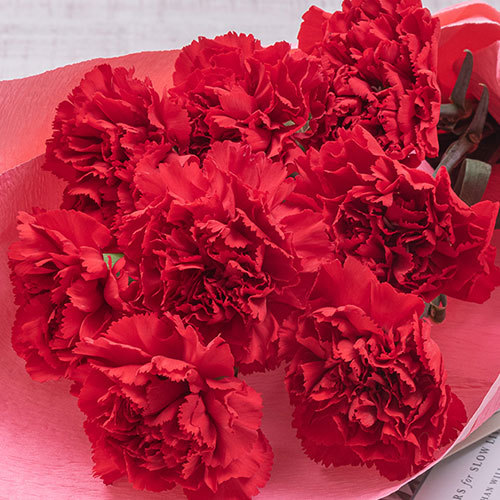 母の日 赤いカーネーションの花束「ありがとうの花」