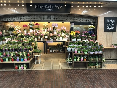 町田駅でおすすめのお花屋さん7選 観葉植物からフラワーギフトまで充実した品揃え Pathee パシー